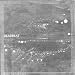 Primordia