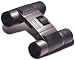 Audubon 4200 Pocket Binoculars 8x22
