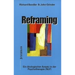 Reframing. Ein �kologischer Ansatz in der Psychotherapie (NLP).