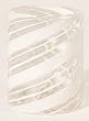Cane Cup