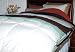 Microfiber  Mini Comforter Set