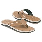 Margaritaville Men's Corsica