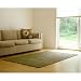 Prairie Rugs OPRR+O2 Olive Prairie Rag Rug Size: 2' x 3'