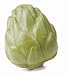 Planet Dog Orbee-Tuff Artichoke with Treat Spot