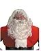Professional Santa Wig and Beard Set Costume