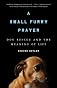 A Small Furry Prayer
