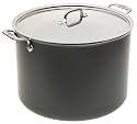 All-Clad LTD 20-Quart Stockpot