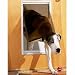 Pet Supplies : Petsafe Extra Large Replacement Flap