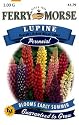 Ferry-Morse Perennial Flower Seeds 1075 Lupine - Russell's Mixed Colors 1 Gra...