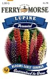 Ferry-Morse Perennial Flower Seeds 1075 Lupine - Russells Mixed Colors 1 Gram Packet