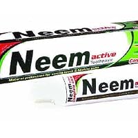 Neem Natural Protection Toothpaste 200g (7oz) (Pack of 3)