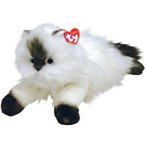 Ty Angel - White Himalayan Cat by Ty Angel - White Himalayan Cat