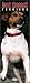 Book Jack Russell Terriers Slimline 2004 Calendar