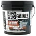 Smart Gainer 10lb- chocolate caramel