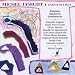 Classical Music : Lysight: Labyrinthes
