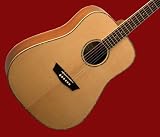 NEW PRO WASHBURN SOLID SPRUCE TOP ACOUSTIC GUITAR WD15S