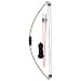 Sporting Goods : Bear Archery Turbo Fire Youth Bow Set