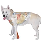 41YERQ6mJZL. SL160  Elvis Dog Costume   Medium