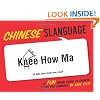 Chinese Slanguage: A Fun Visual Guide to Mandarin Terms and Phrases