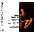 J.S.Bach: Ich Hatte Viel Bek�mmernis - Kantaten BWV 21 & 42