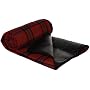 Picnic Travel Rug with Waterproof Backing, Red