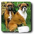 Dogs Boxer - Boxer - Mouse Pads