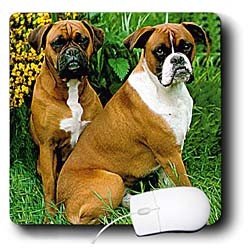 image link -  - B000EGIUB6