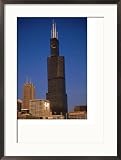 Sears Tower in the Afternoon Framed Photographic Poster Print by Bruce Leighty, 21x29