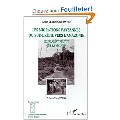 Les migrations paysannes du Sud-Br�sil vers l'Amazonie: Le salariat plut�t que la malaria
