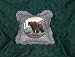 Wild Bear 16" Zippered Throw Pillow