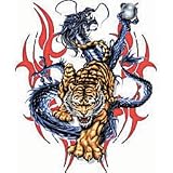 Dragon/Tiger Womens Scoop Neck T-Shirt
