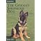 Discover Doggie Fun (and More) For Everyone