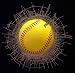 Softball - Wild Clings Shatter Softball 3-D Decal Gift