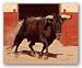 Aldinegro by Charles Louis 11.75"x9.5" Art Print Poster
