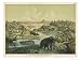 Animals and Plants of the Tertiary Era in Europe Animals Giclee Poster Print by Ferdi...