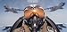 Flying Force - Rear Window Graphic 25 x 67