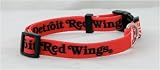 Detroit Red Wings NHL Pet Collar Adjustable 5/8 Web (Small)