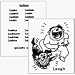 Book Visual German Verbs (Language Express Cards) (Language Express Cards)