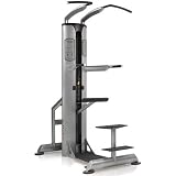 Freemotion Commercial EPIC Selectorized Assisted Dip-Chin Machine by 