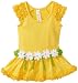 Love U Lots Baby-girls Infant Raglan Sleeve Drop Waist Dress