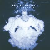 Liquid Mind VII: Reflection
