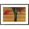 Bright Red Maple Leaves Against a Yellow Temple Wall, Kyoto, Kinki, Japan, Framed Photographic Poster Print by Frank Carter, 29x21