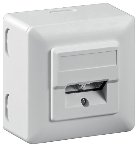 Wentronic CAT5e Universaldose (2x RJ45) wei&szlig;