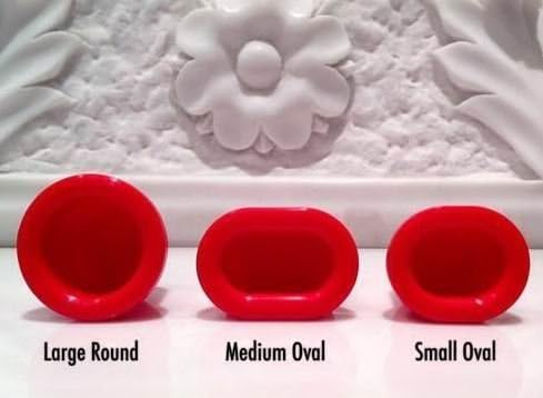 Lip Plumping Enhancer - Medium Oval (L)