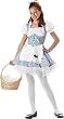 Preteen Dorothy Halloween Costume (Size: 12-14)