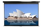 Black Case Manual Projector Screen