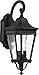 Feiss OL5421BK Cotswold Lane Outdoor Patio Lighting Wall Lantern, Black, 2-Light (9"W x 21"H) 120watts