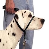 Gentle Leader Quick Release Head Collar, Large, Royal Blue Gentle Leader Quick Release Head Collar, Large, Royal Blue