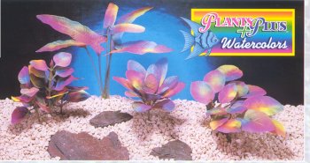 Buy Plants+Plus Watercolors Medium Amazon Sword