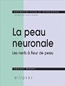 La peau neuronale